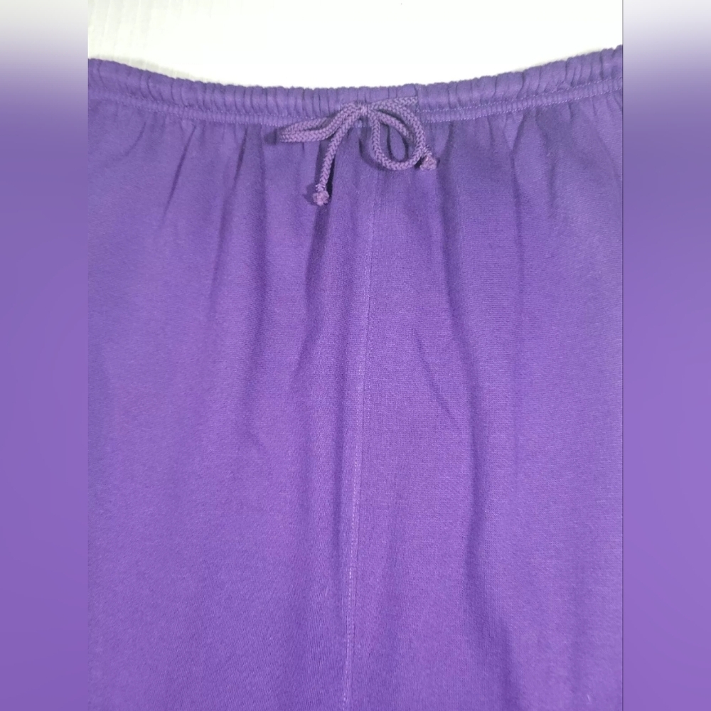 Cervelle Womens Elastic Waist Maxi Skirt Purple Size 1X - Picture 2 of 7